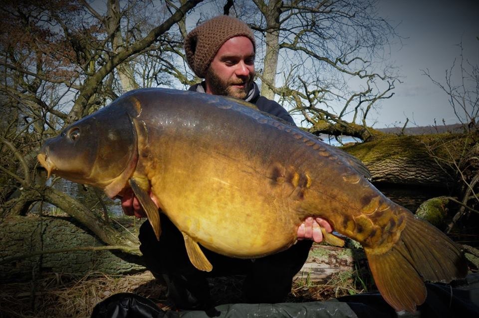 Dreamlike mirror carp from a large natural lake in Mecklenburg-Vorpommern, © Sebastian Schlötels