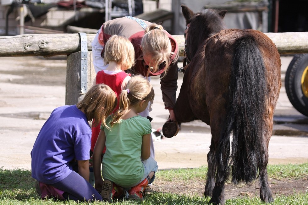 Children learn with us from scratch the right way to deal with horses, © Waldhof Bruchmühle