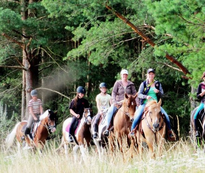 Experience great rides through the Lewitz with the Mühlenberg riding facility, © Reitanlage Mühlenberg/ Mario Mühlenberg