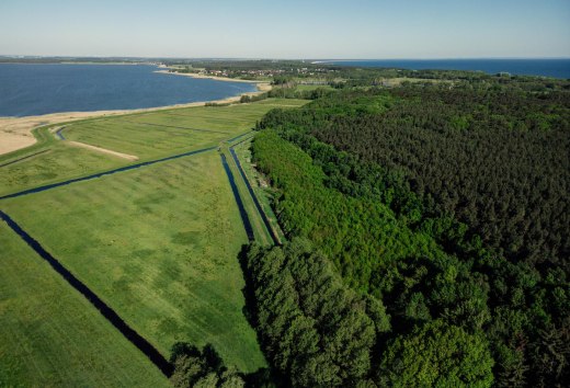 Climate forest on the island of Usedom near Damerow, © TMV/Petermann