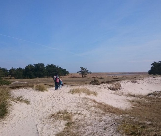 Dunes at Darßer Ort, © TMV/UB