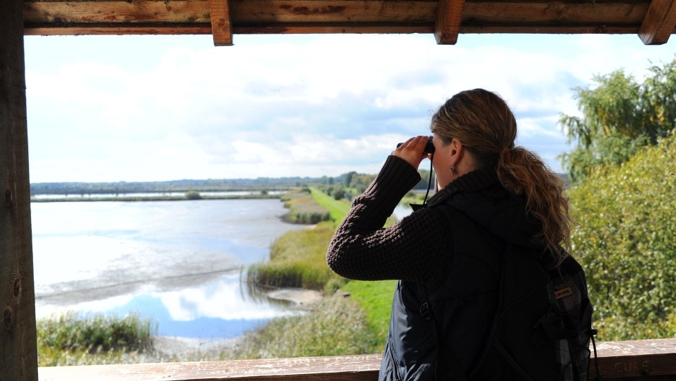 From the observation tower, visitors have an impressive view over the fish ponds., © TMV/Foto@Andreas-Duerst.de