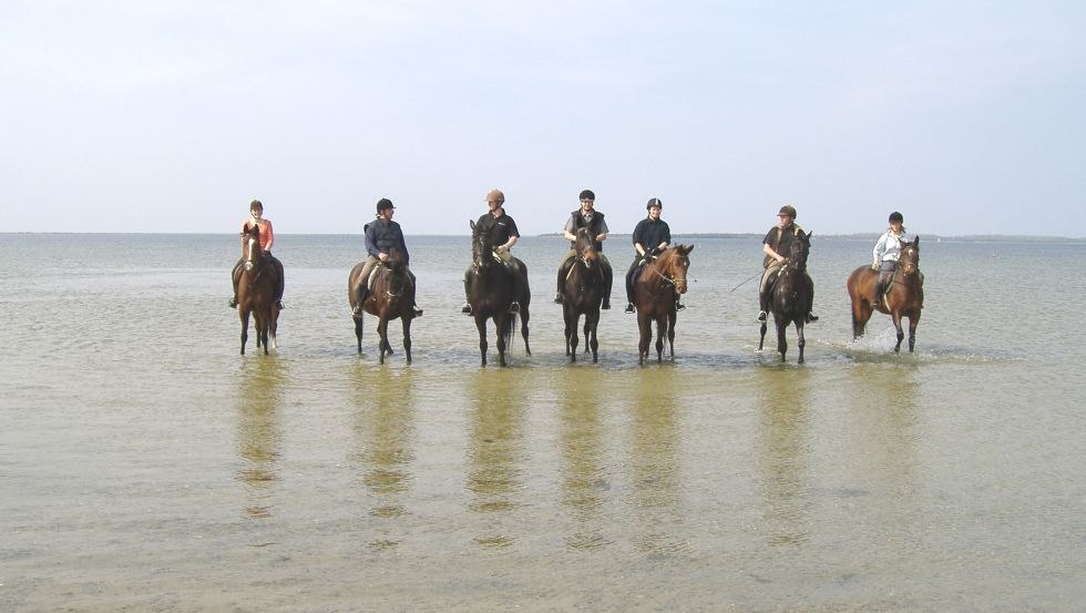 Riding to the water with the Lischow estate, © Ferien- und Reiterhof Landgut Lischow/Schröder