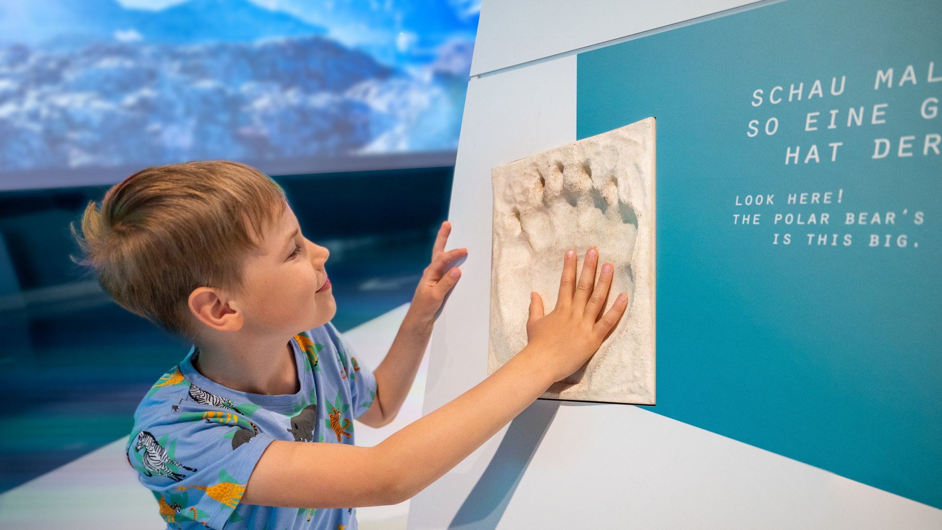 Erik's hand would fit into the paw of a polar bear about five times. However, a direct handshake is not included in the animal encounter., © TMV/Tiemann