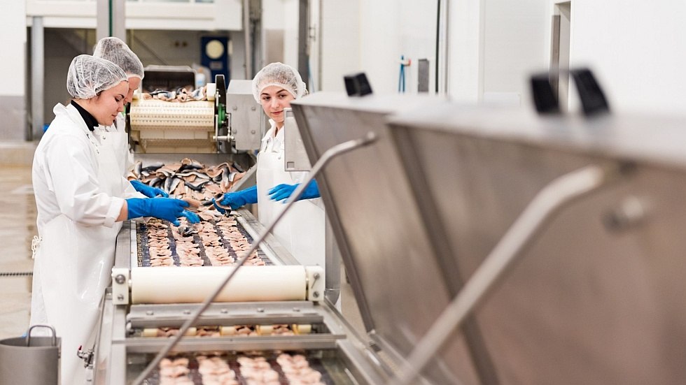 View into the production, © Schwaaner Fischwaren GmbH