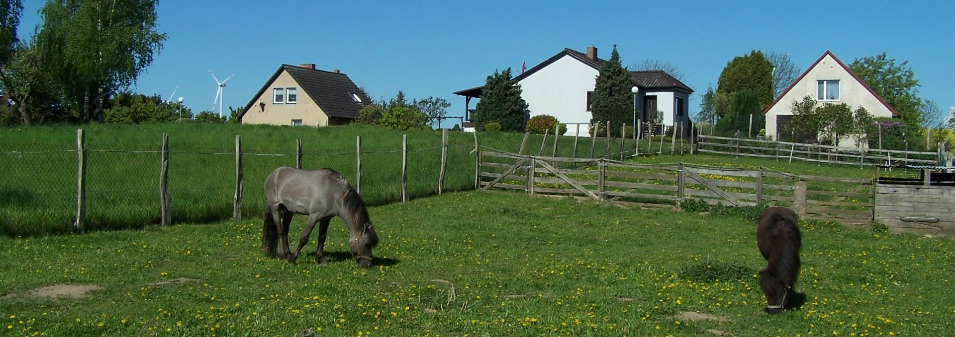 Vacation fun with horses, © Thomas Wieners