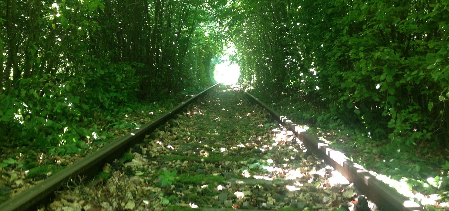 Entry into the approx. 1km long book tunnel, © Naturpark Draisine Dargun