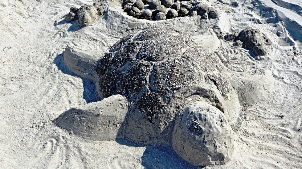 Winning turtle - sandcastle competition in Boltenhagen, © Kurverwaltung Ostseebad Boltenhagen