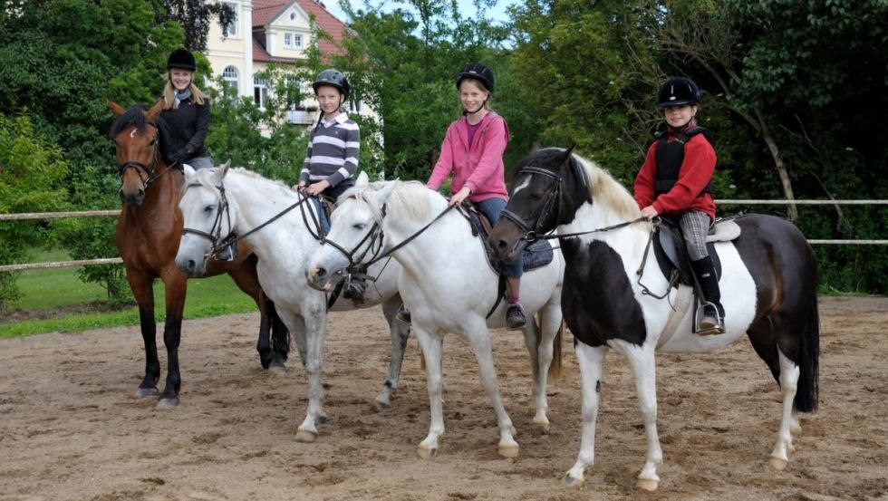 Horses on the Oberhof riding arena, © Margit Wild