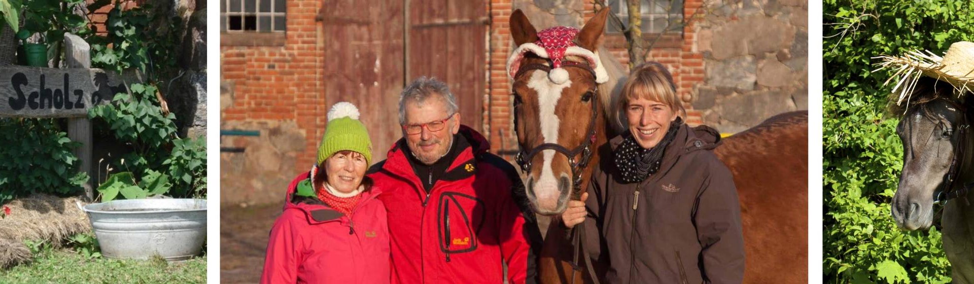 Scholz horse farm, © Pferdehof Scholz