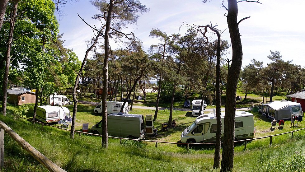 Pitches close to the Baltic Sea, © Stefan Burkhardt