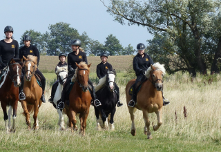 Horseback ride with the amber riders through the lagoon landscape of Barth, © Bernsteinreiter Barth