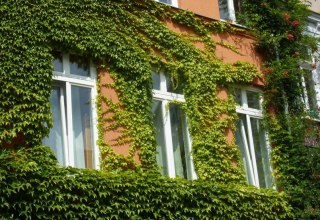 House exterior view, © Galina Diran