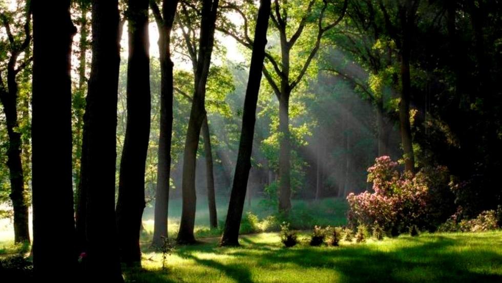 refreshing rest in our castle park, © Schloss Hasenwinkel