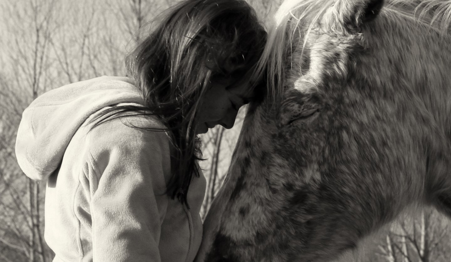 Framika Ranch, © Dirk Sandner