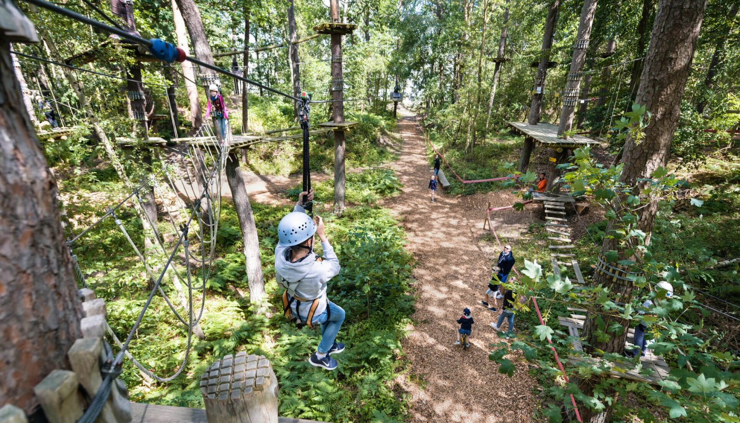 The climbing forest in the Baltic resort of Binz attracts daredevils to dizzying heights., © Kletterwald Darß