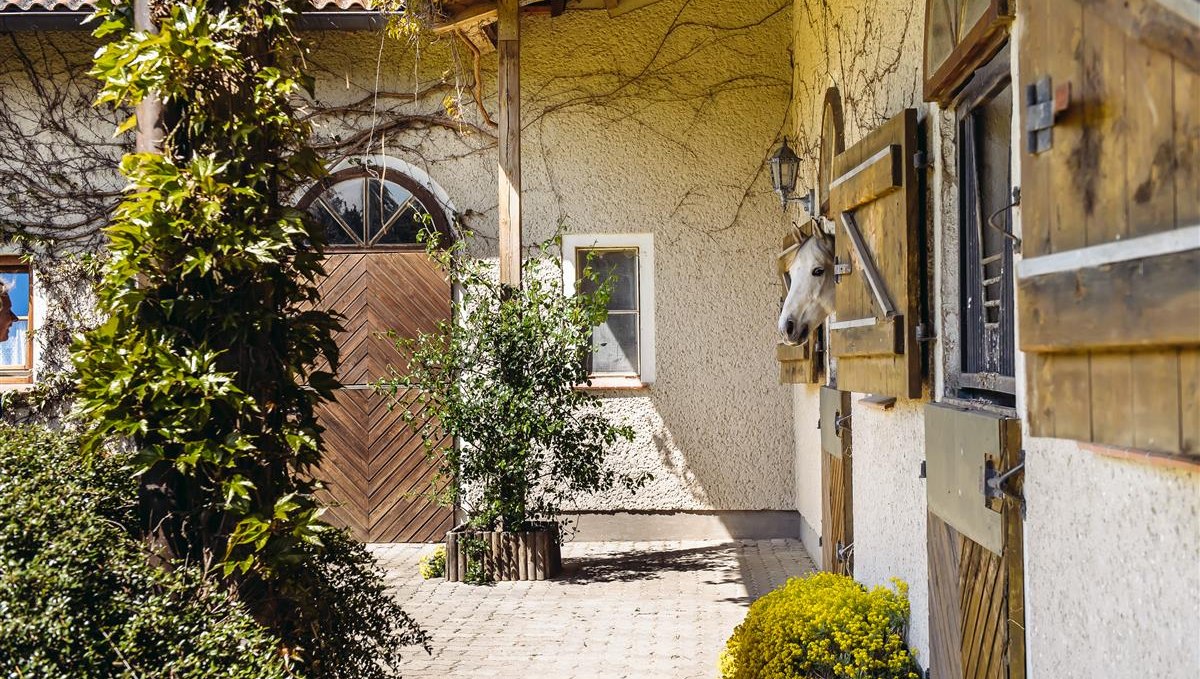 Horse in its box, © Bombis