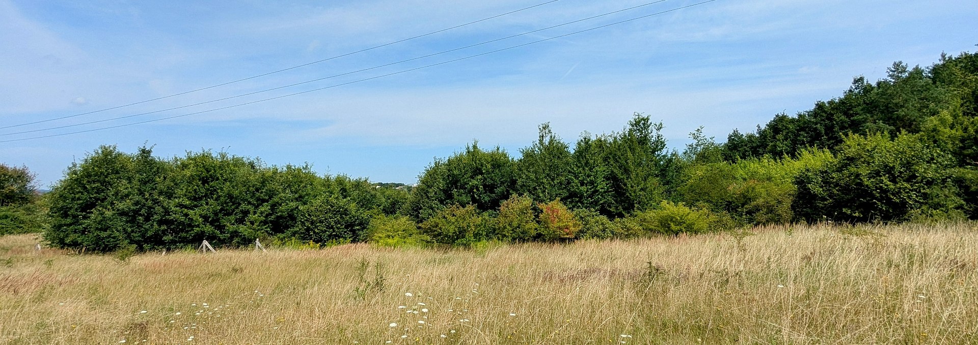 Neubrandenburg-Nettelkuhl climate forest, © Landesforst MV