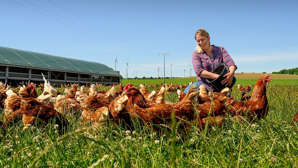 Know your hen - Our motto stands for transparency, © Holger Martens