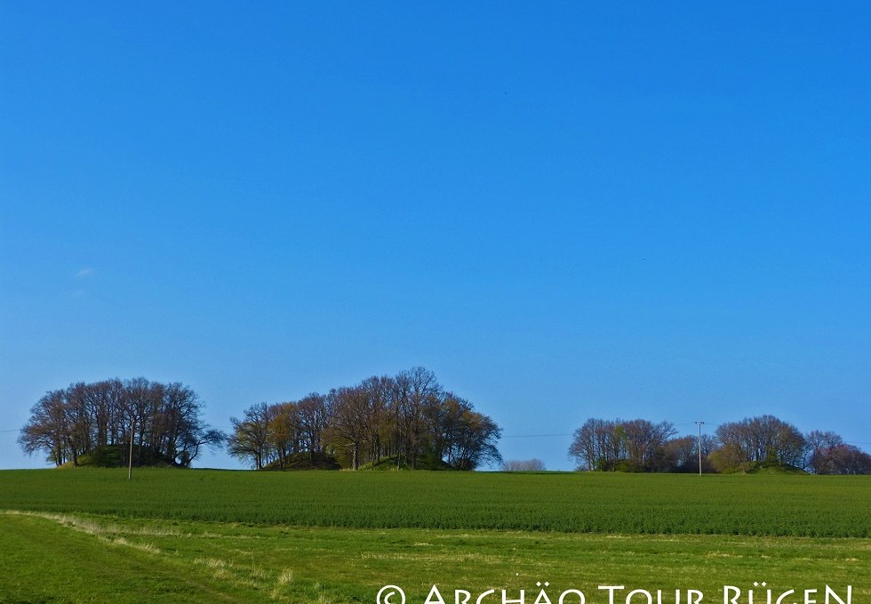 View of the burial mounds "Woorker Berge, © Archäo Tour Rügen