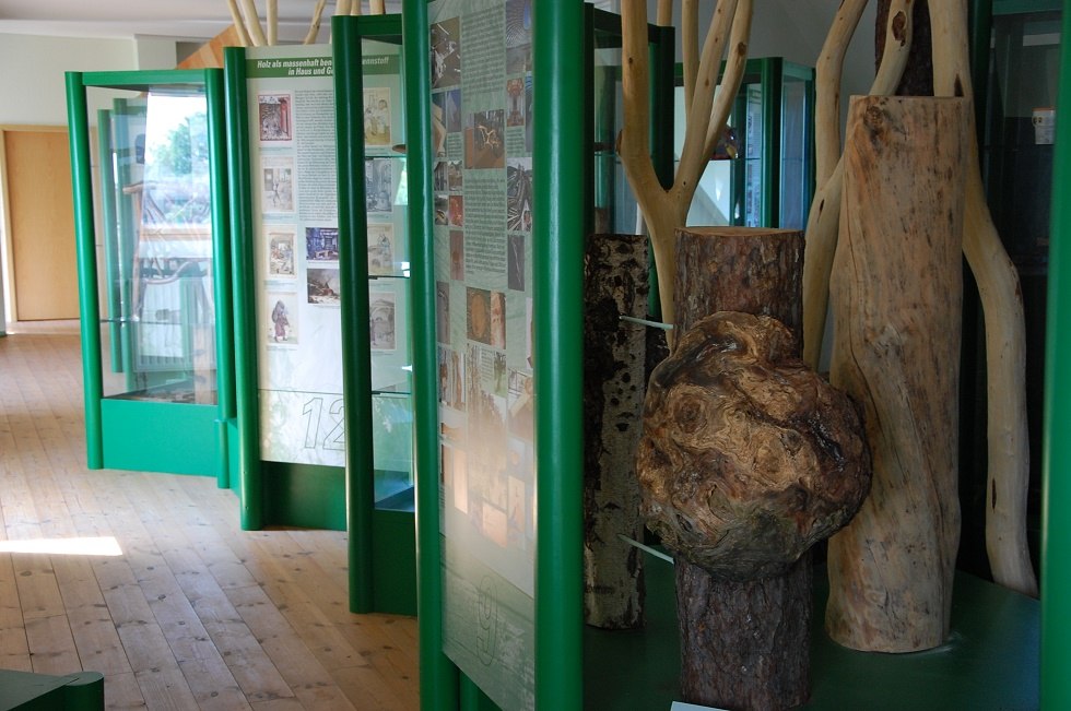 The raw material wood is the focus of the exhibition of the "House of the Forest"., © Gabriele Skorupski