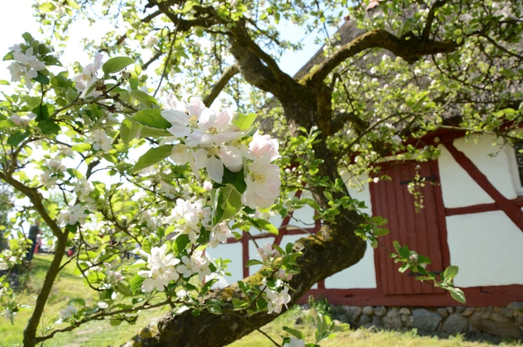 Open Air Museum Schwerin Muess, © Tourismusverband Mecklenburg-Schwerin