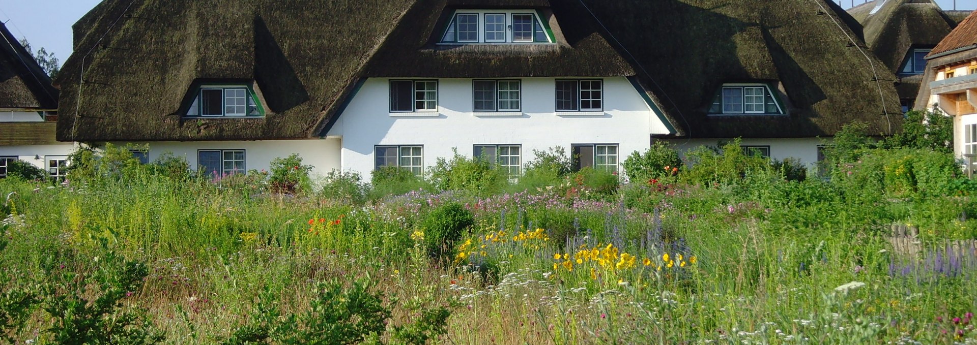 Garden side of the hotel Haferland, © Martina Evers