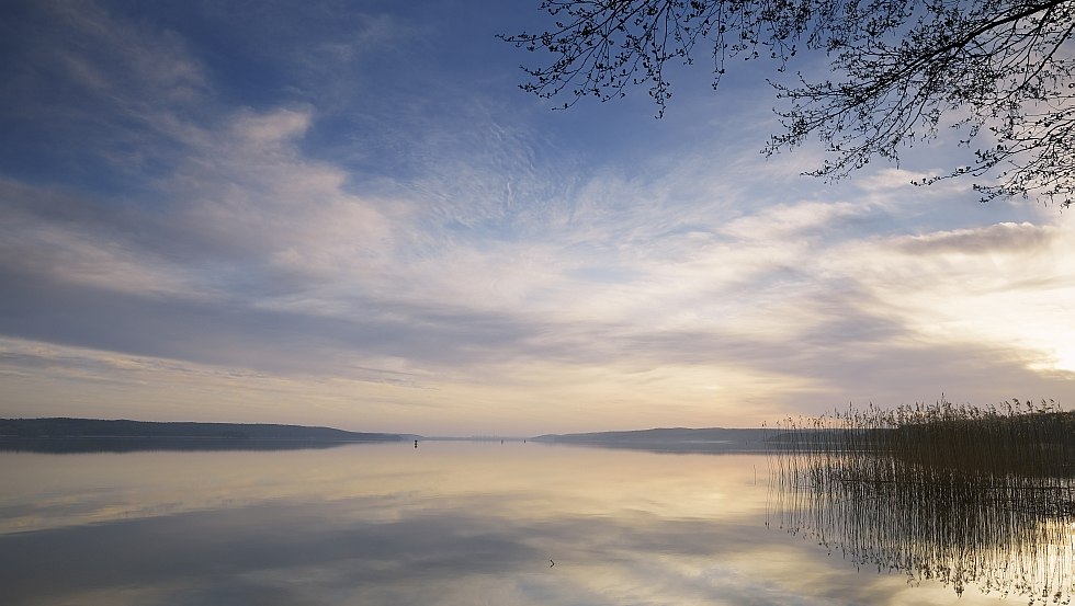 Nature breathes silence on the Tollensesee lake, © TMV/Grundner