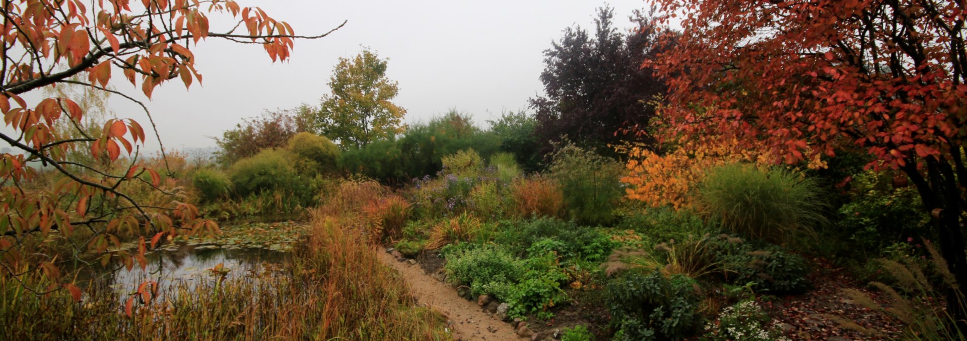 Autumn at the Sündenborn, © Claus Gering