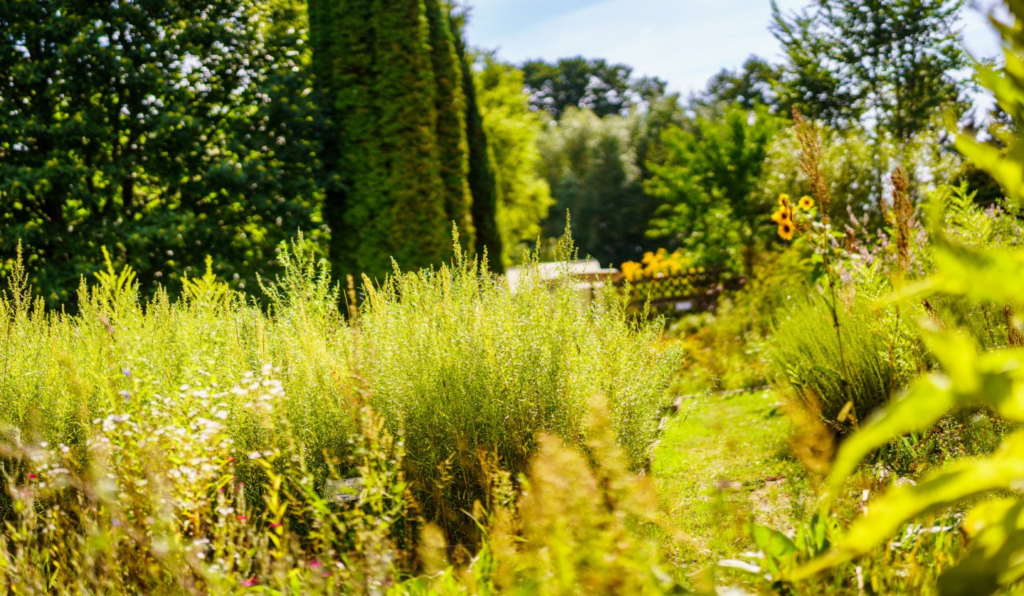 Himmelpfort monastery herb garden, © André Wirsig