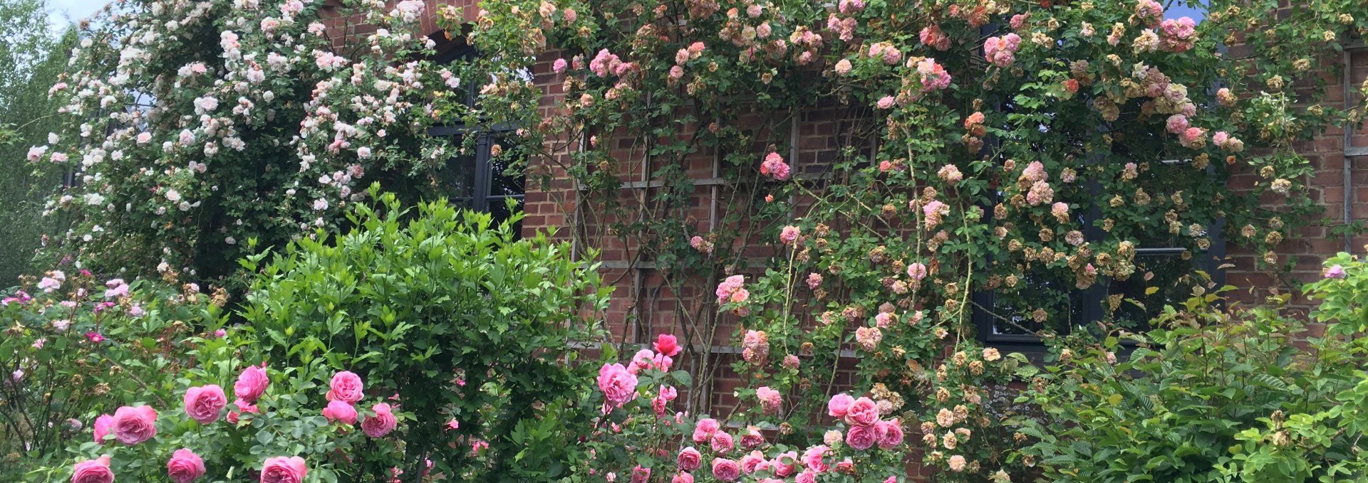 Surrounded by fragrant roses: the manor house Altbauhof, © Gutshaus Altbauhof