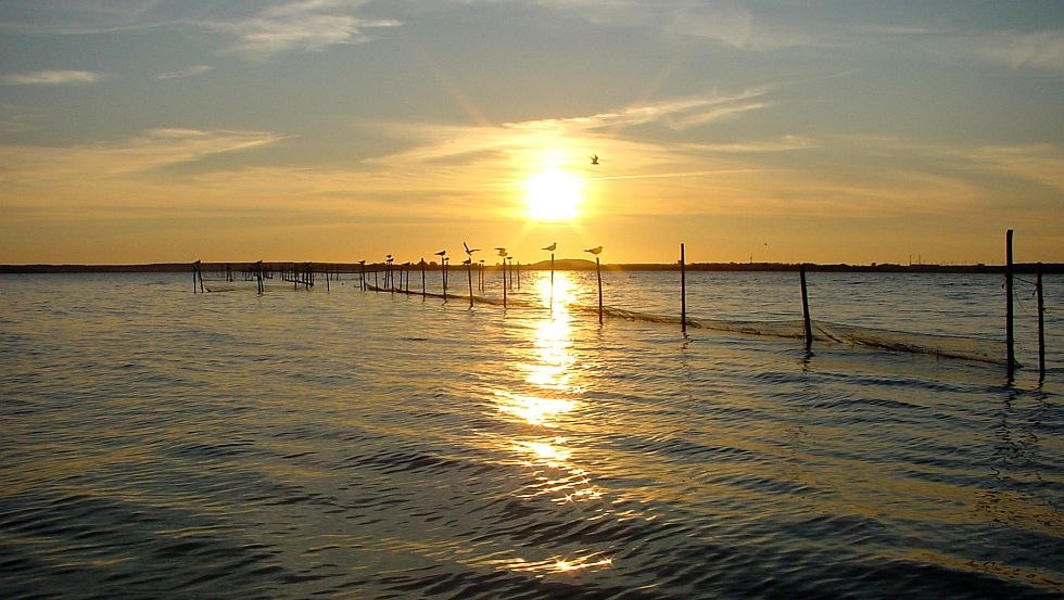 Pure relaxation, © Natur Camping Usedom