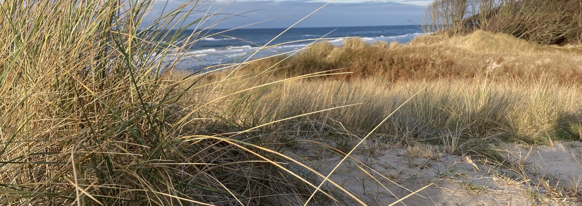 West Beach Winter, © Katrin Bärwald