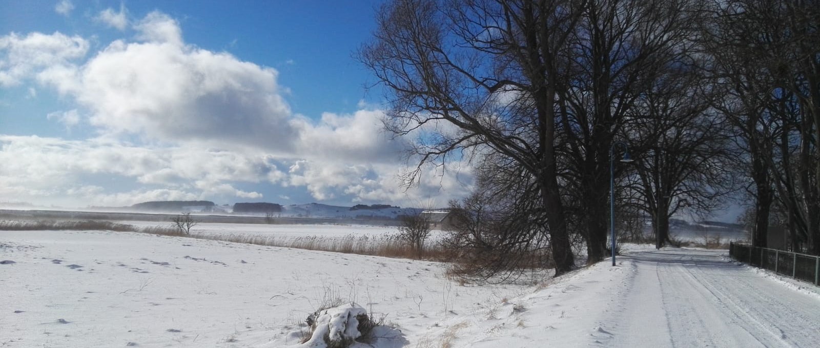 Winter hike, © Petra Wolter