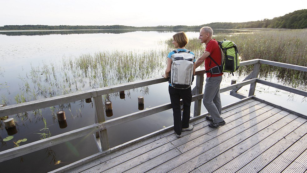 Enjoying sweeping views: the vantage point on the northern banks of Lake Priesterbäk is situated at the heart of Lake Müritz National Park., © TMV/outdoor-visions.com