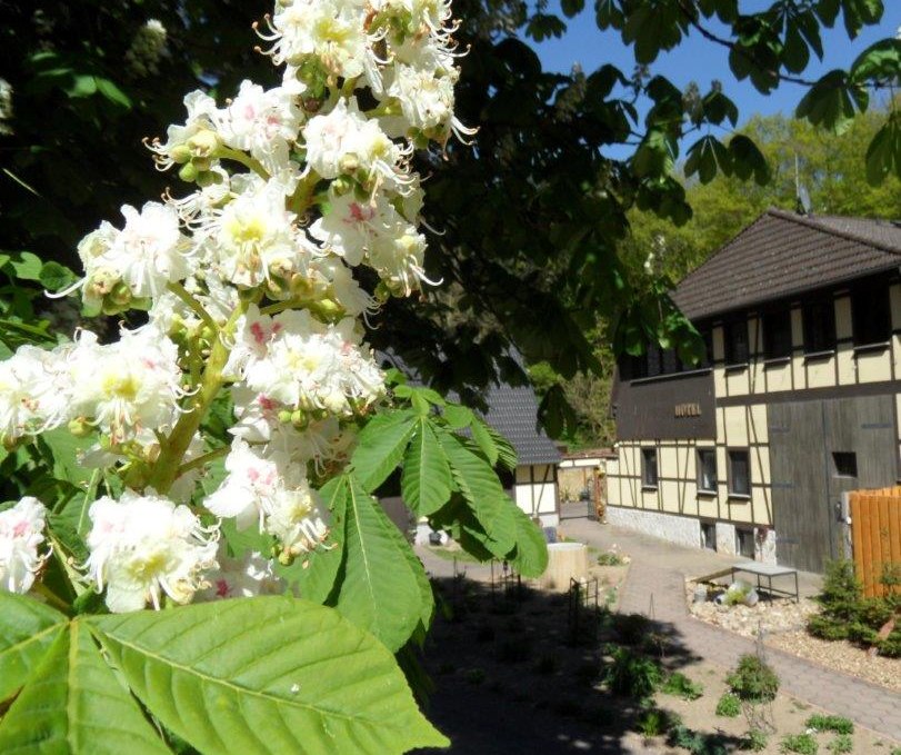 Dat Waldhus in spring, © Steffen Tepasse