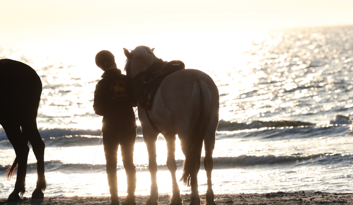 Horse riding on the beach, © TMV/ACP Pantel