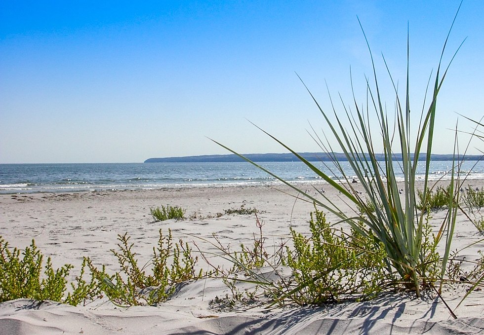 Beach, © Freizeitcamp Am Wasser