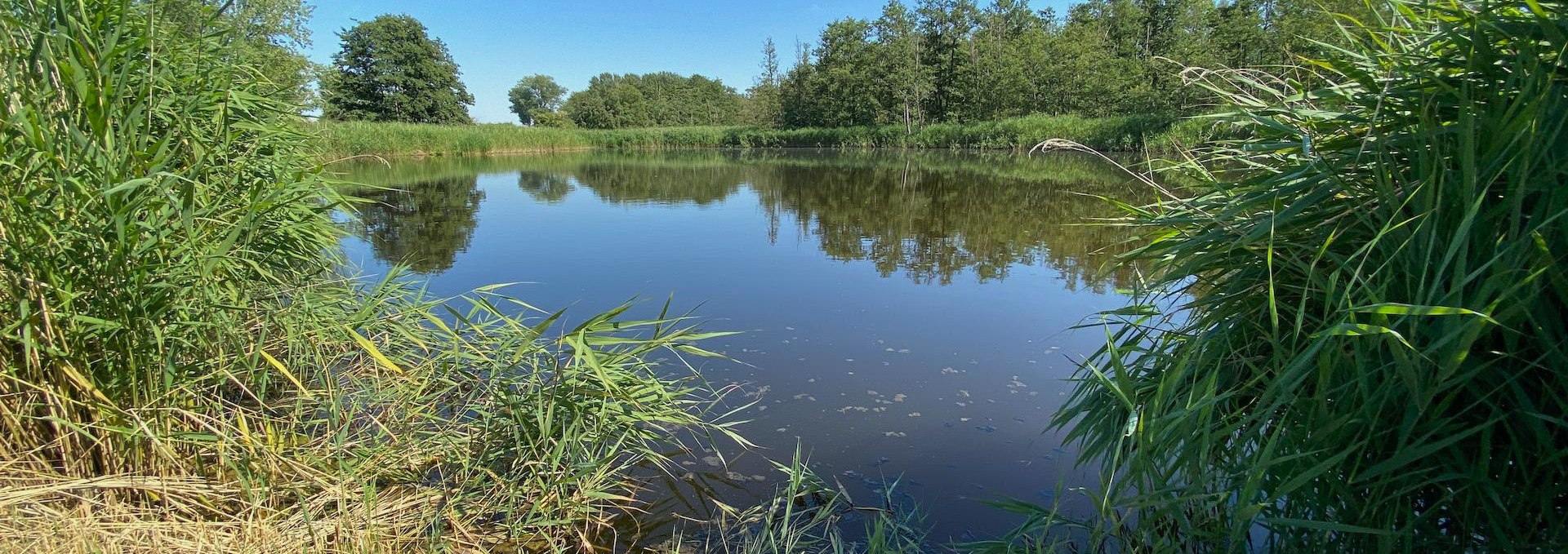 Our own natural fishing lakes, © Campingplatz Ostseequelle GmbH