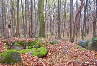 © Archäo Tour Rügen