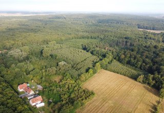 Golchen climate forest, © Landesforst MV