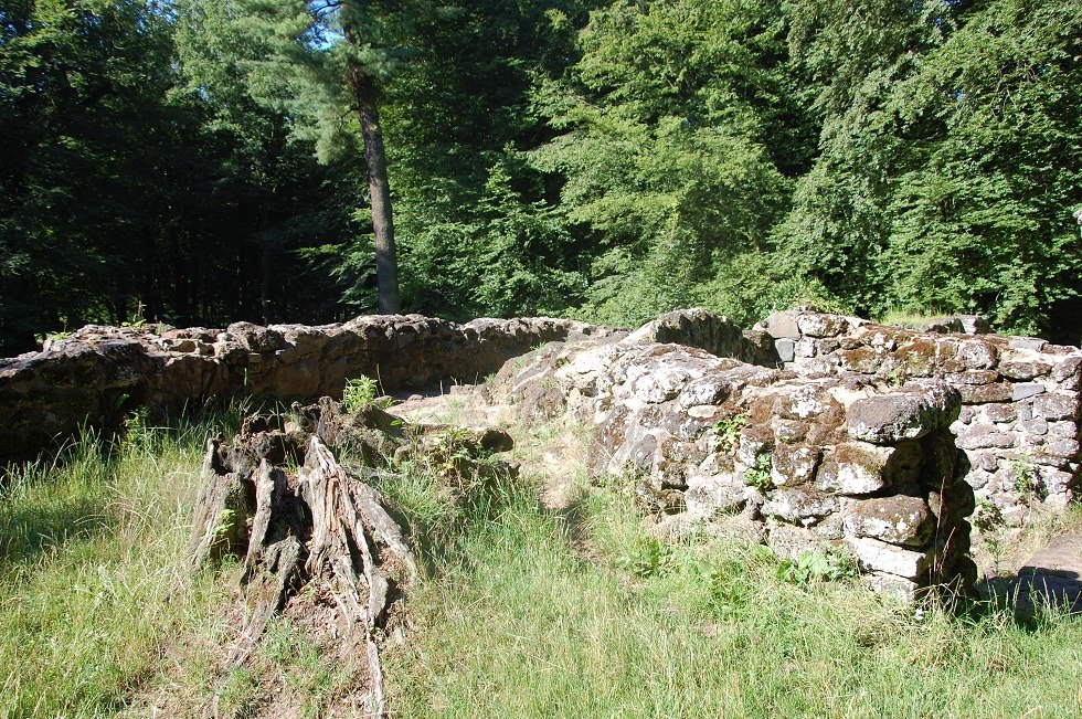 From the ruin you can see far into the park., © Gabriele Skorupski