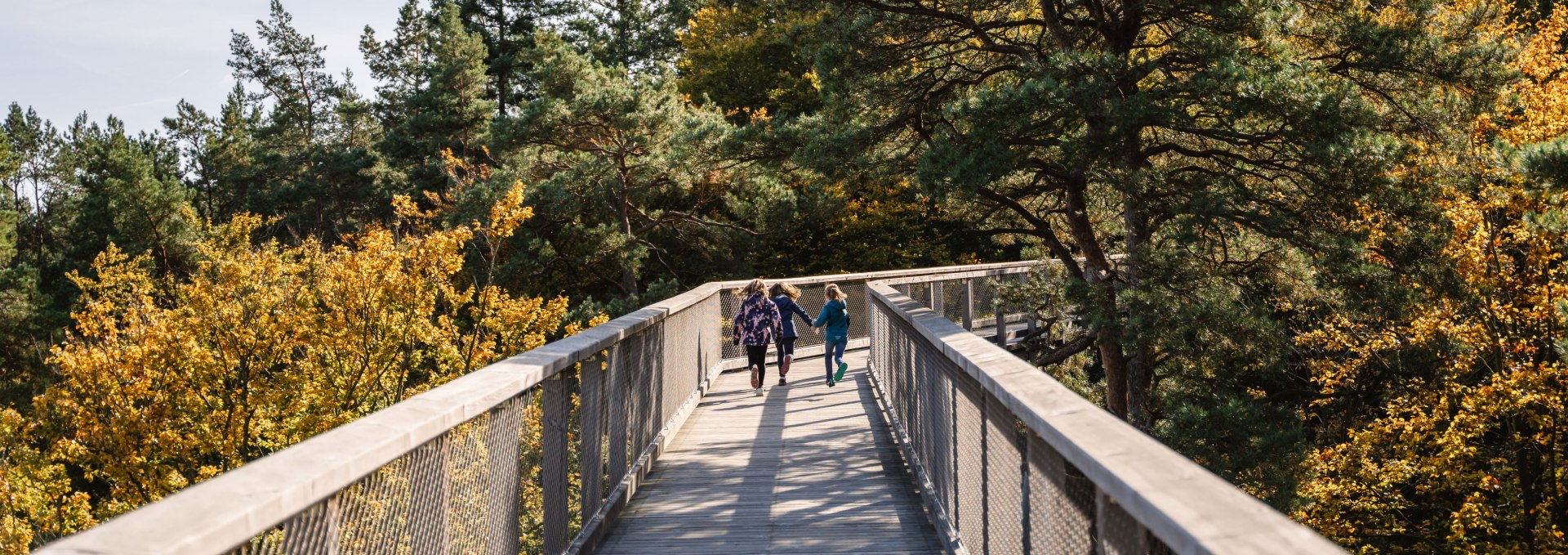 Three children walk on a raised wooden path through an autumn-colored forest with tall trees.