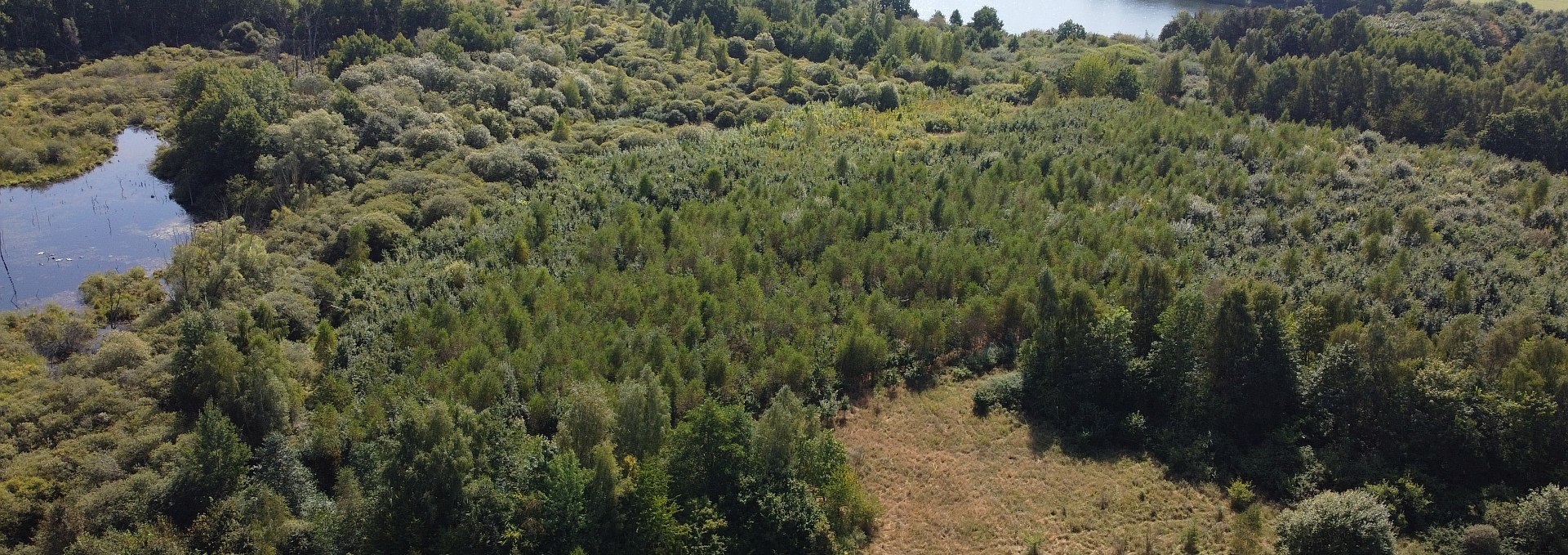 Climate Forest Biosphere Reserve Schaalsee, © Landesforst MV