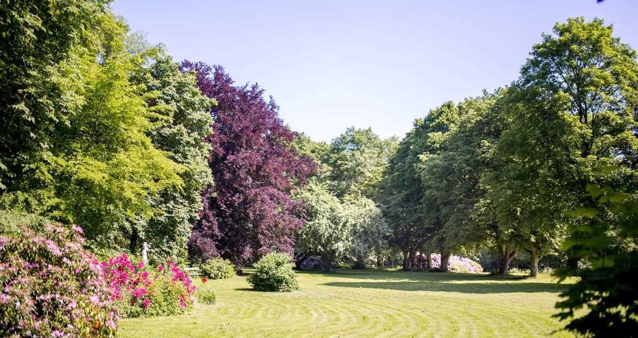 Rhododendron bushes in the park, © Herrenhaus Samow