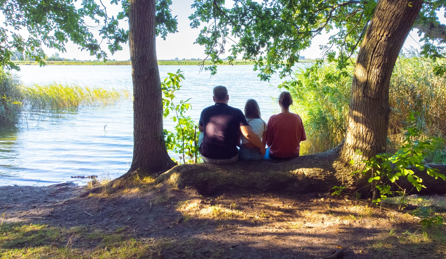 Fuchsberg hiking area on the Bodden, © Arndt Gläser