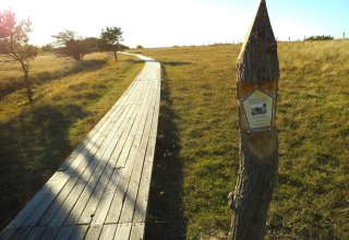 Nature reserve northwest shore Wittow and Kreptitz Heath, © Tourismuszentrale Rügen