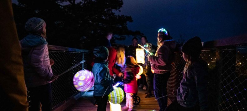 © Erlebnis Akademie AG / Baumwipfelpfad Usedom