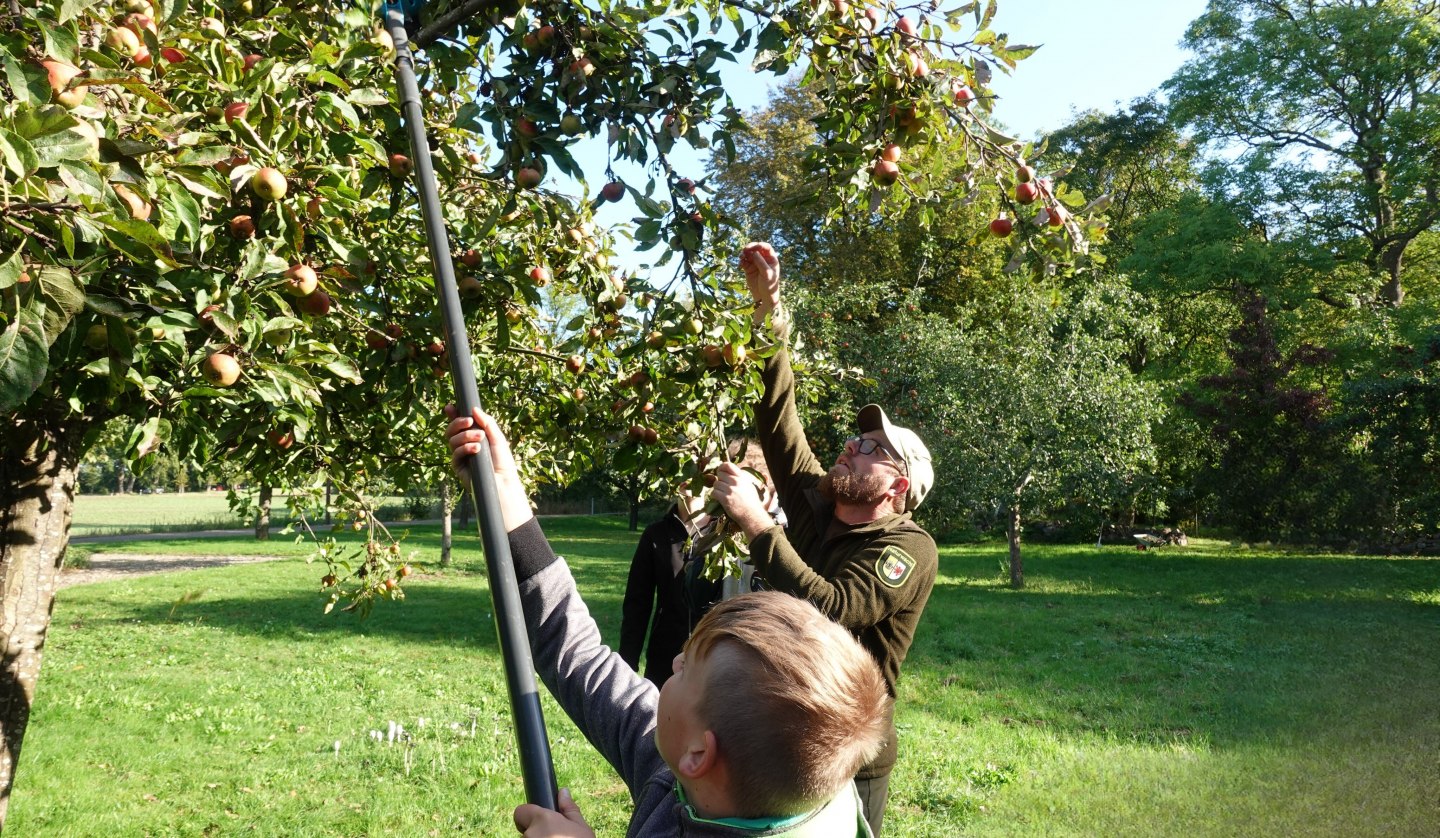 Children with ranger on orchard meadow, © Biosphärenreservatsamt Südost-Rügen