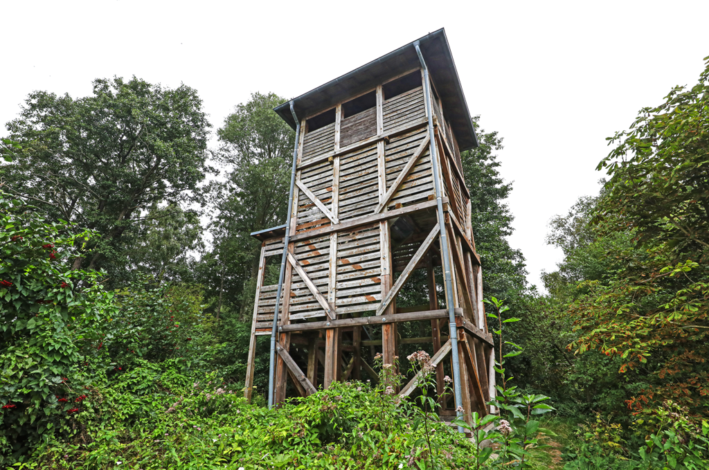 Observation tower Moorochse, © TMV/Gohlke